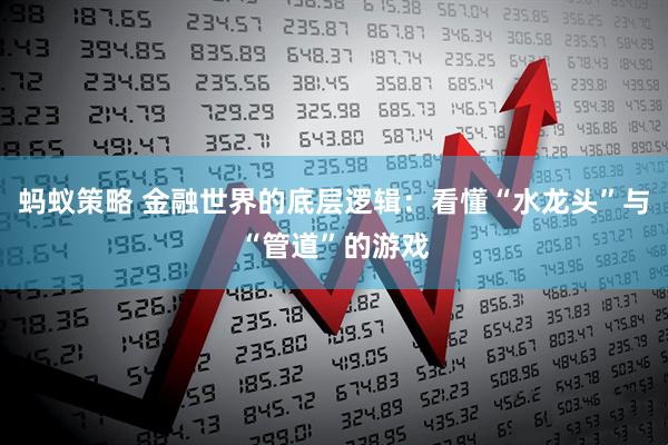 蚂蚁策略 金融世界的底层逻辑：看懂“水龙头”与“管道”的游戏