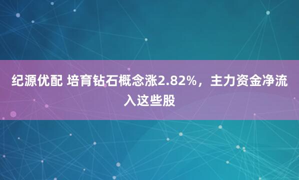 纪源优配 培育钻石概念涨2.82%，主力资金净流入这些股