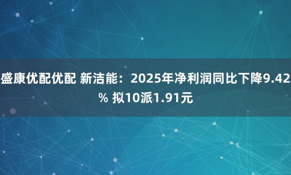 盛康优配优配 新洁能：2025年净利润同比下降9.42% 拟10派1.91元