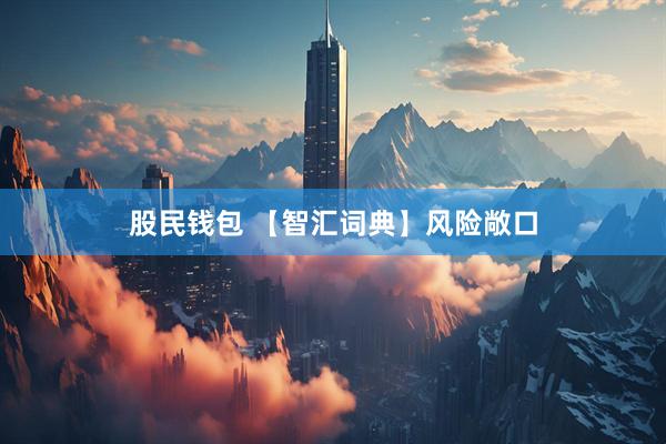 股民钱包 【智汇词典】风险敞口