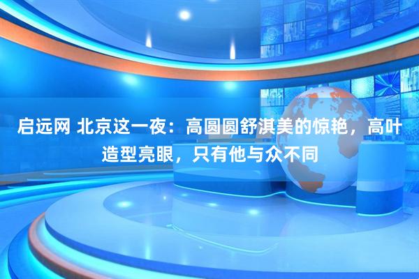 启远网 北京这一夜：高圆圆舒淇美的惊艳，高叶造型亮眼，只有他与众不同