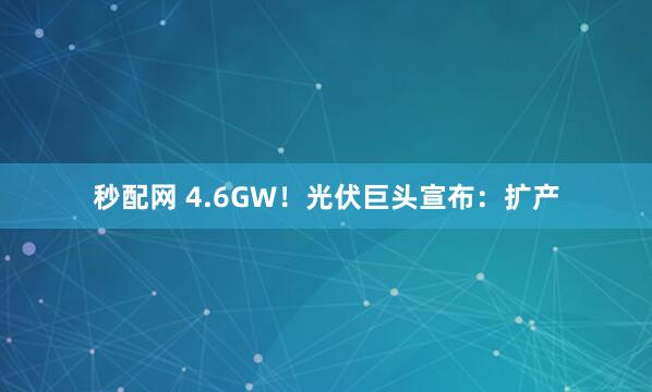 秒配网 4.6GW！光伏巨头宣布：扩产