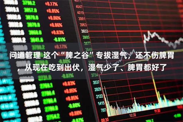 问道管理 这个“脾之谷”专拔湿气，还不伤脾胃，从现在吃到出伏，湿气少了、脾胃都好了